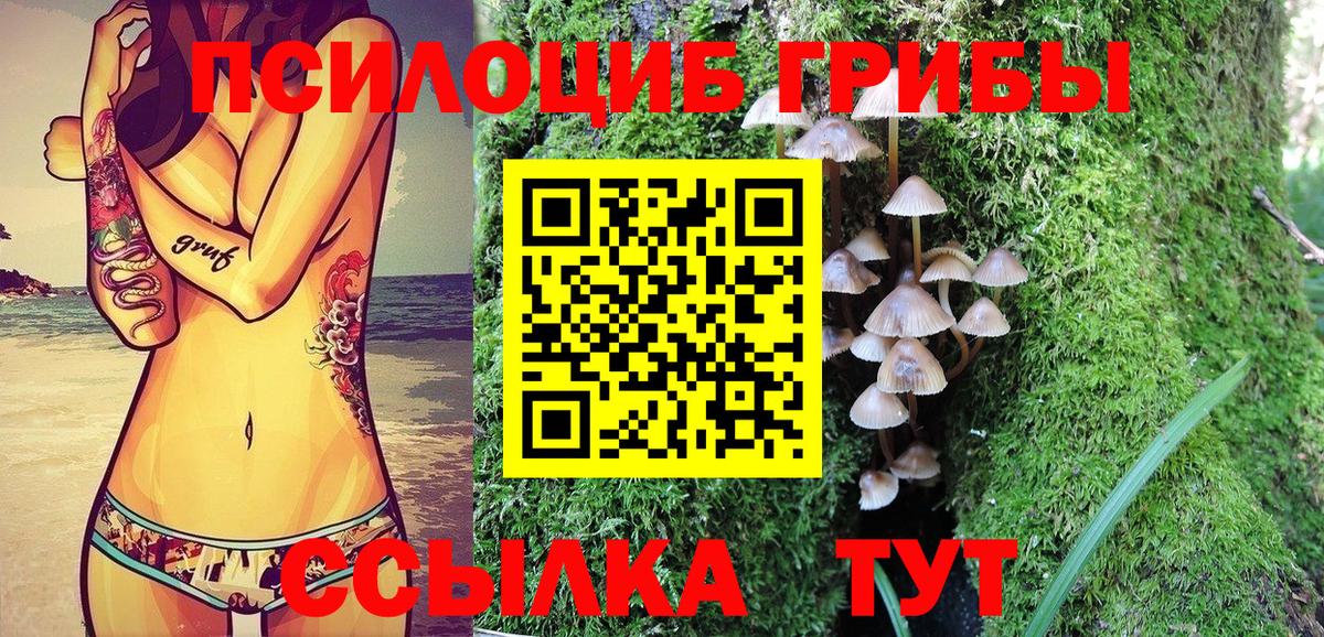 Галлюциногенные грибы Cubensis Янаул